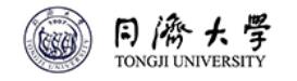 同济大学