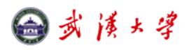 武汉大学